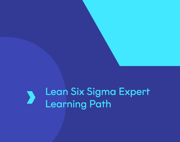 Lean Six Sigma Learning Path | ILX Group US